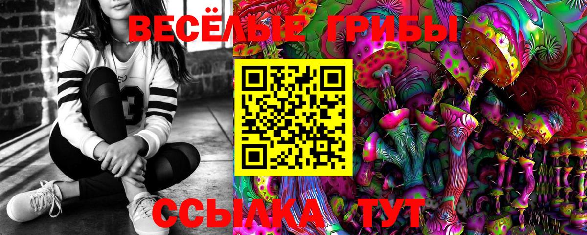 купить наркотики цена  Вход с VPN  Хабаровск  Галлюциногенные грибы MAGIC MUSHROOMS 